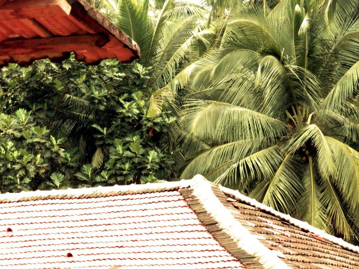 The Old Quarter Hostel Panaji Exterior foto